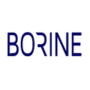 PT Borine Technology Indonesia - LOKER NUSANTARA