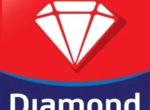 Helper Logistik PT Sukanda Djaya (Diamond)